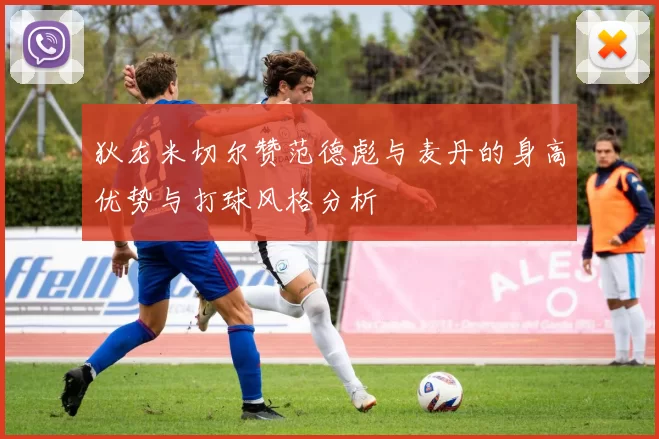 狄龙米切尔赞范德彪与麦丹的身高优势与打球风格分析