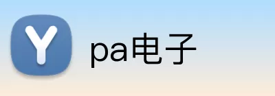pa电子 logo